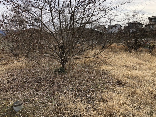 飯田市鼎上山土地 その他