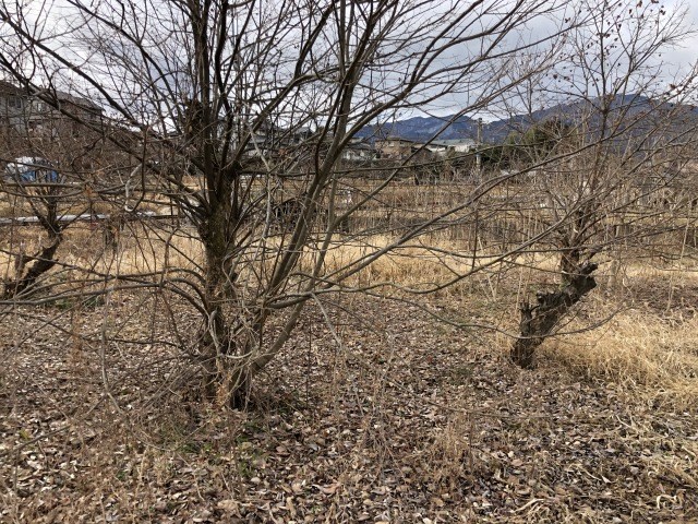 飯田市鼎上山土地 その他