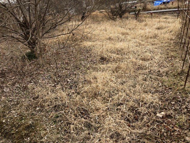 飯田市鼎上山土地 その他