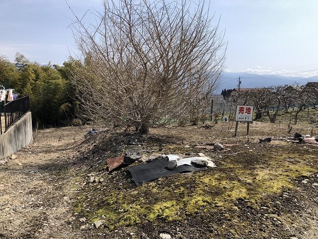 飯田市大瀬木土地 その他