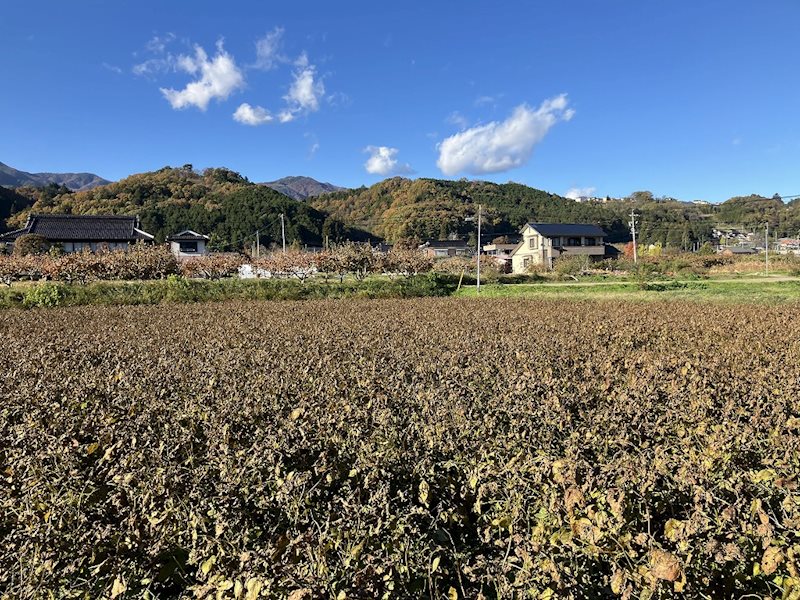 下伊那郡高森町下市田事業用地 その他