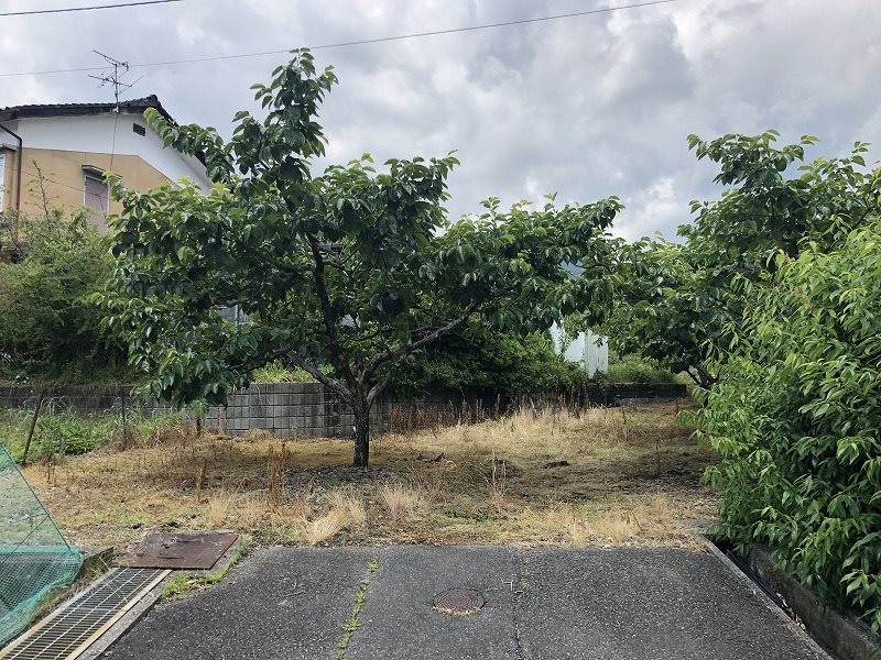 飯田市大瀬木土地  現地写真