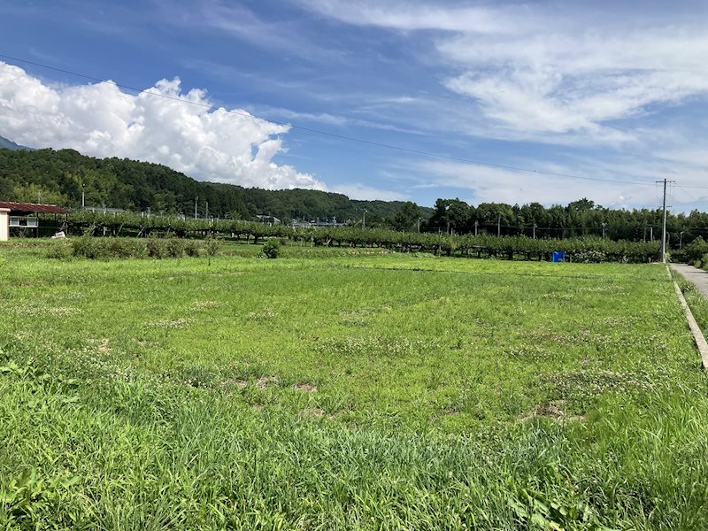 松川町元大島土地 現地写真