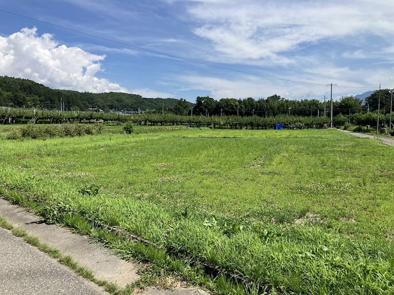 松川町元大島土地 その他