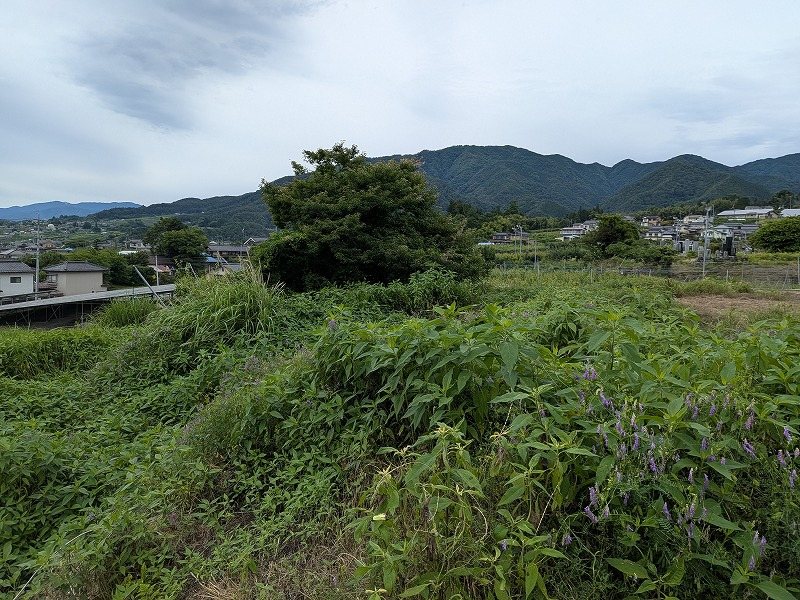長野県飯田市正永町１丁目 その他