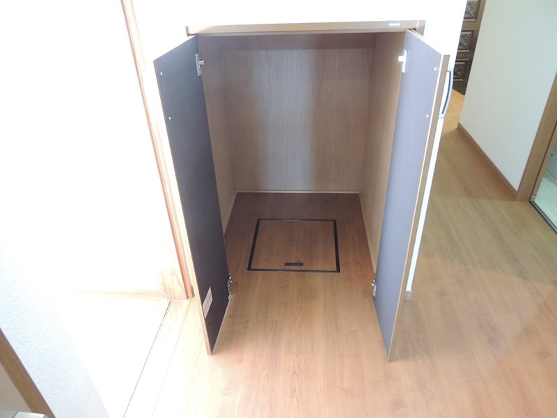 河桃町戸建 内観写真（収納）