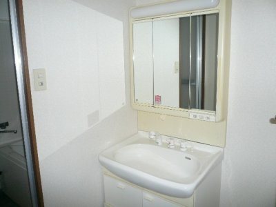 アーティックス大手町 内観写真（洗面台・洗面所）