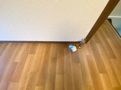 コーポ熊西 内観写真（洗面台・洗面所）