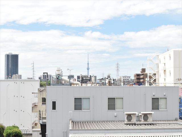 スカイツリーも見えますよ♪ グリーンパーク第18綾瀬 その他