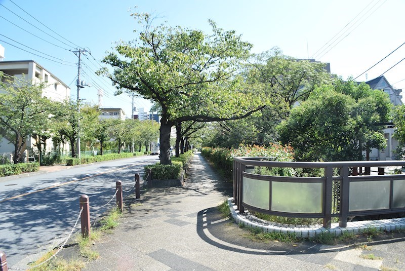 セザール第二北綾瀬 その他