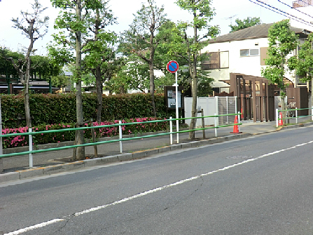ソフトタウン亀有 周辺画像6
