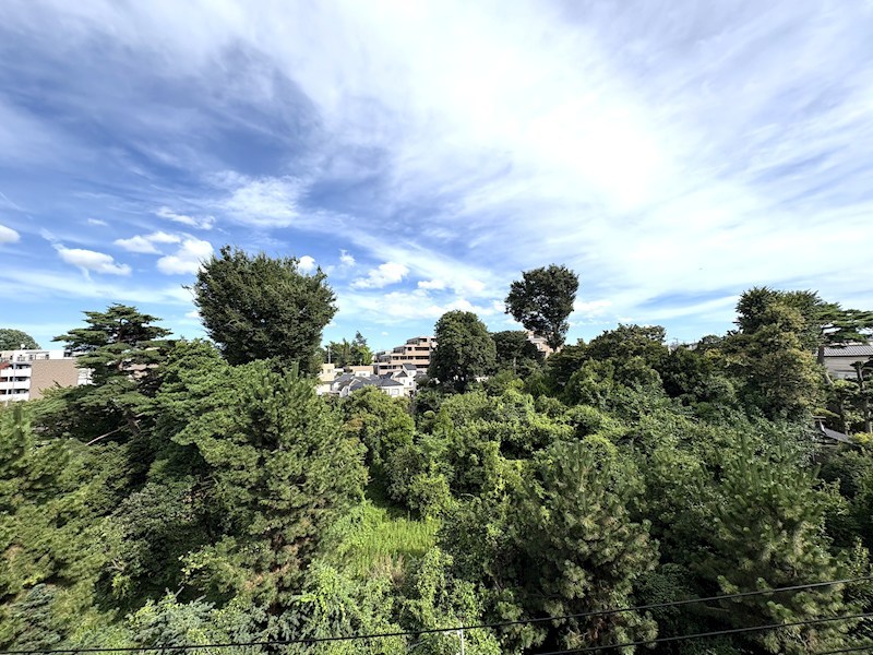 ダイアパレス赤塚公園 その他