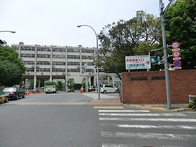 板橋区東山町　新築一戸建て 周辺画像10