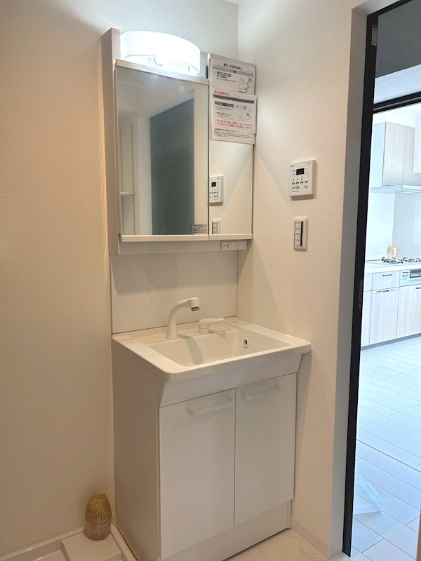 生活感を隠せる鏡裏収納付き♪ チサンマンション板橋 その他