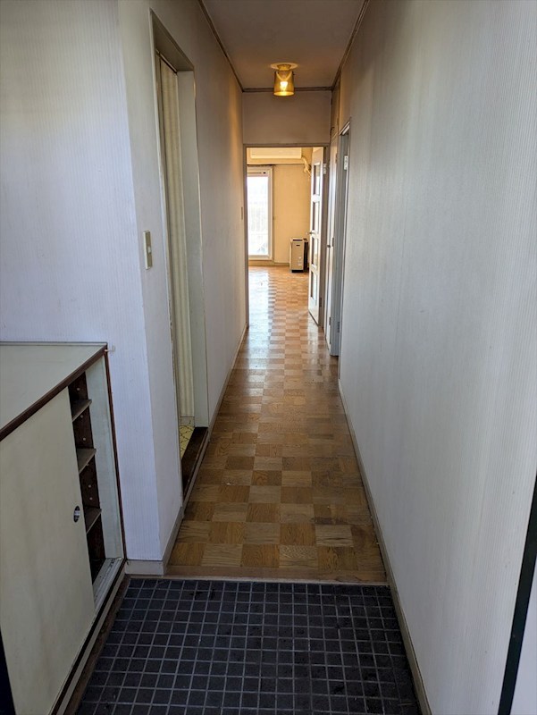 ボナハイツ中川Ａ号棟 その他