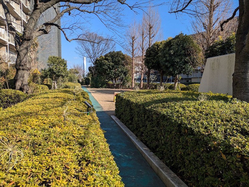 ボナハイツ中川Ａ号棟 その他