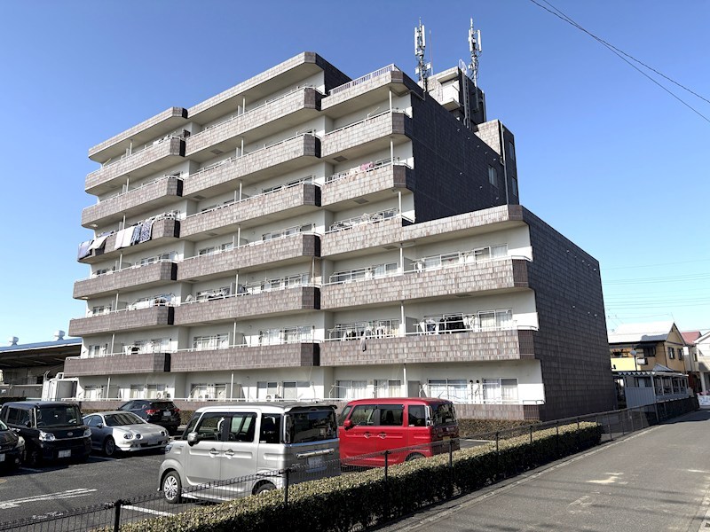 ミューアダマスグランテ その他