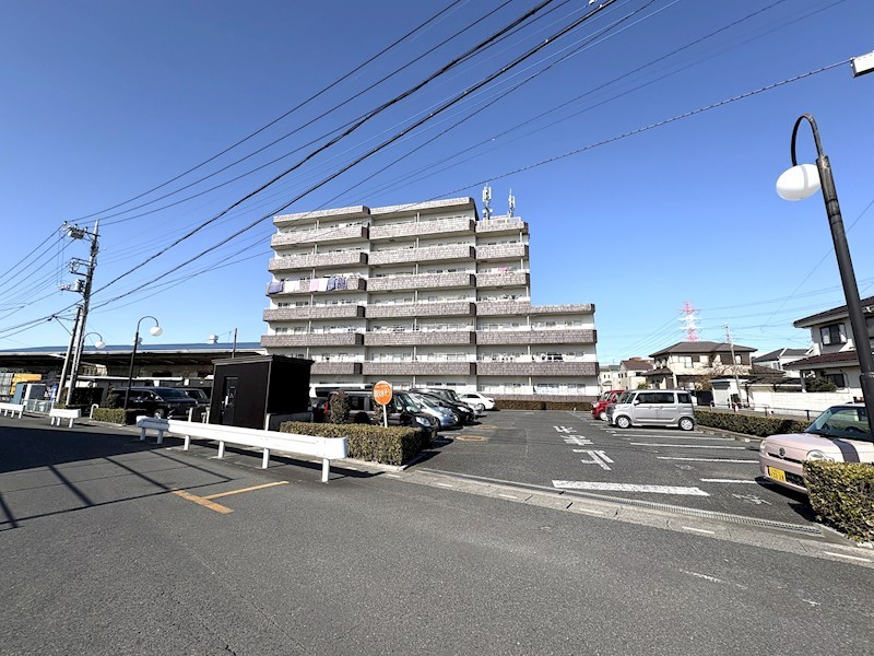 ミューアダマスグランテ その他