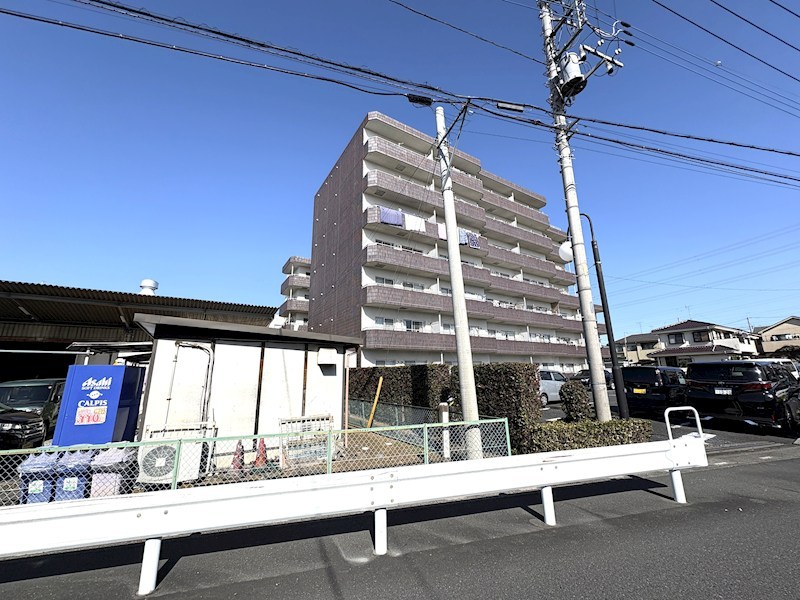 ミューアダマスグランテ その他