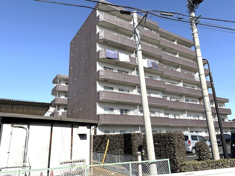 ミューアダマスグランテ その他