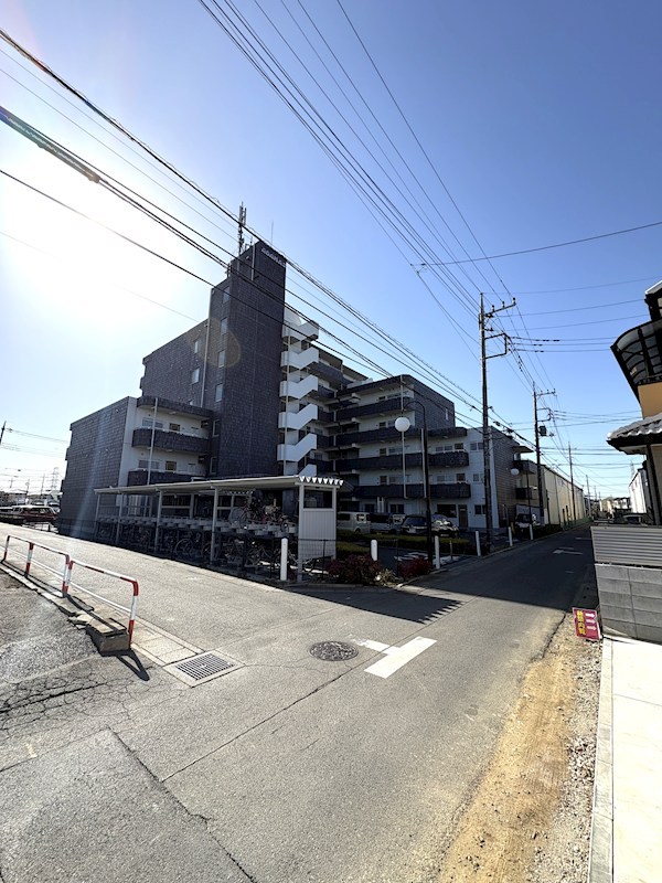 ミューアダマスグランテ その他