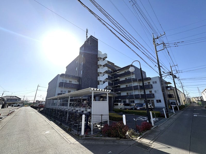 ミューアダマスグランテ その他