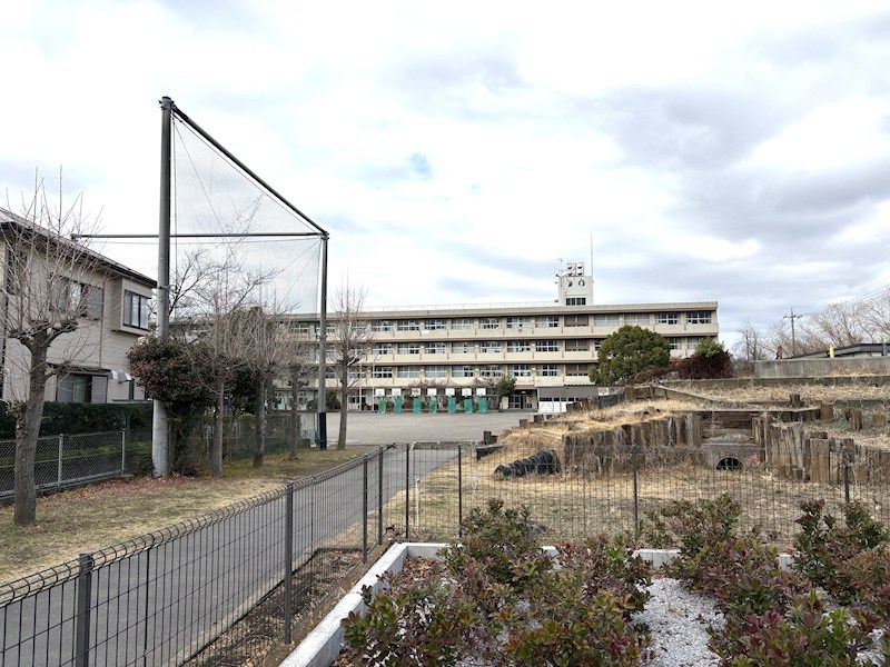 ミューアダマスグランテ その他