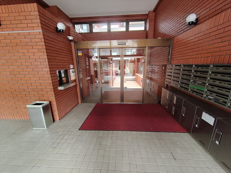 ロイヤルハイツ東綾瀬公園 その他