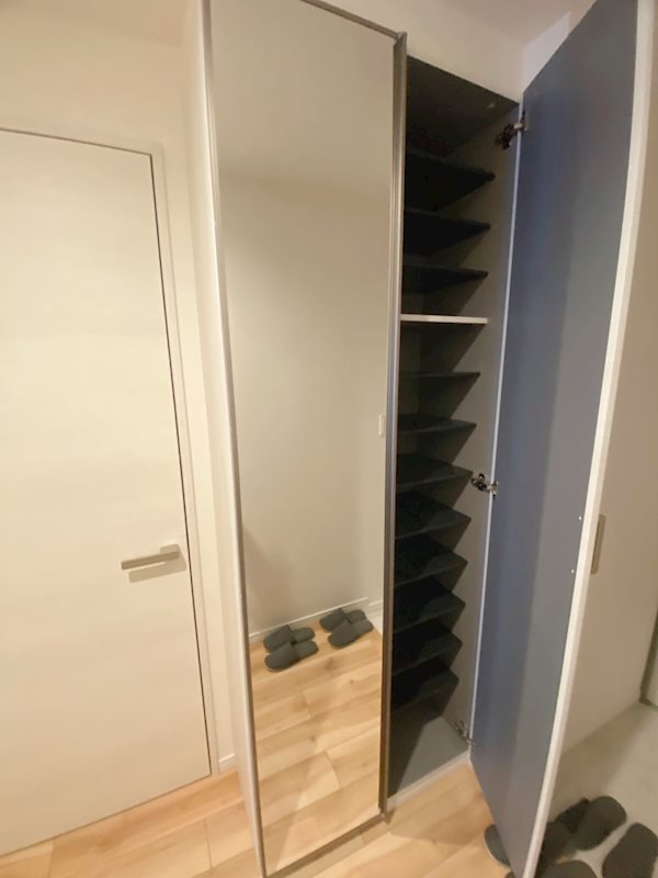 大容量のシューズボックスと鏡が便利♪ エクレール南越谷 その他