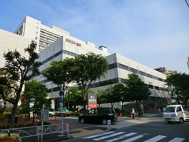 東京都立墨東病院 トーア錦糸町マンション 周辺画像9