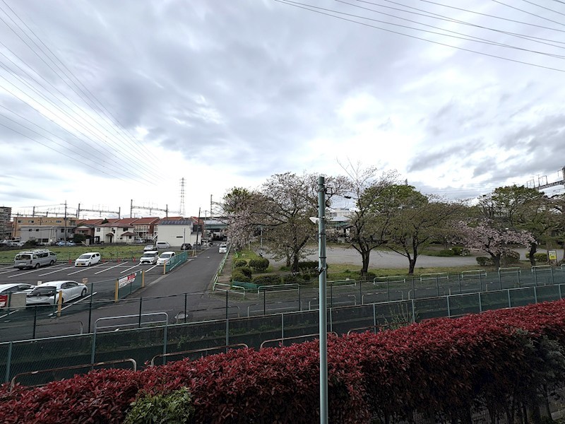 目の前公園で抜けています♪ ファミール大宮宮原壱番館 その他