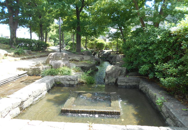 見沼代親水公園 草加市新里町 戸建 周辺画像10