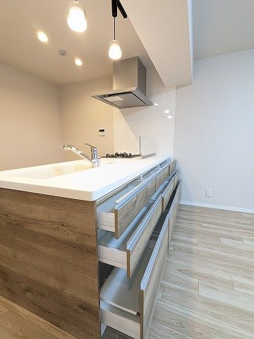 大阪府枚方市岡山手町 内観写真（キッチン）