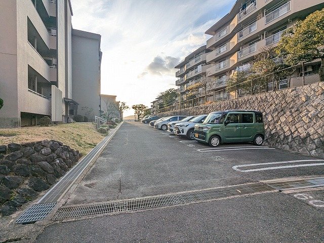 京都府八幡市男山雄徳 共用部写真（駐車場）