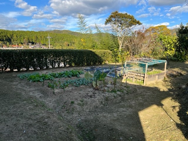 戸建　周南市大字八代 現地写真（庭）