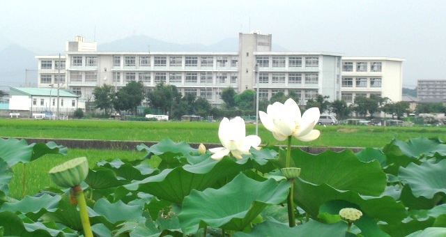 姫路市網干区坂上第1　全1邸　1号棟 周辺画像8