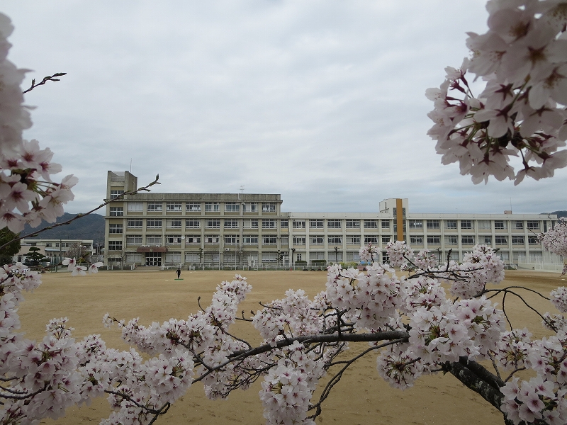 姫路市御立西第4　全1邸　1号棟 周辺画像7