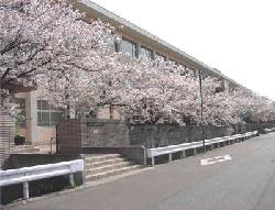 姫路市網干区新在家第5　全2邸　1号棟     周辺画像8