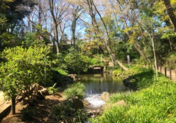 新宿区下落合４丁目　中古戸建　限定1棟 公園