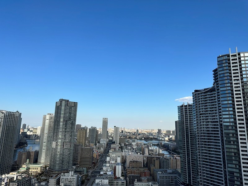 ＴＨＥ　ＴＯＫＹＯ　ＴＯＷＥＲＳ 眺望写真