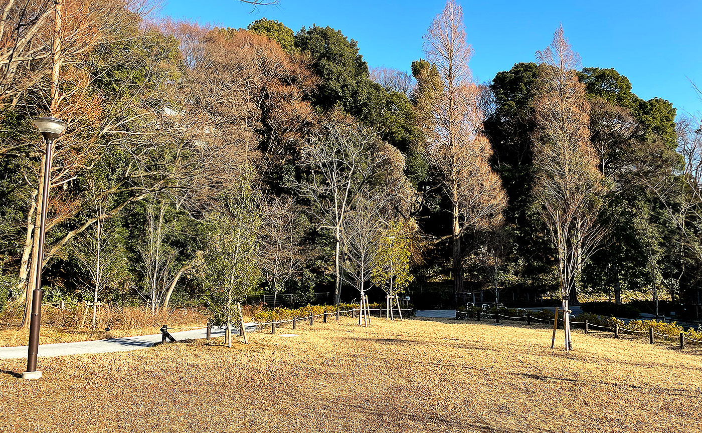 世田谷区砧７丁目　新築戸建　2号棟  公園