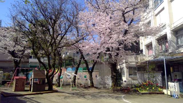 マンション広尾台 幼稚園