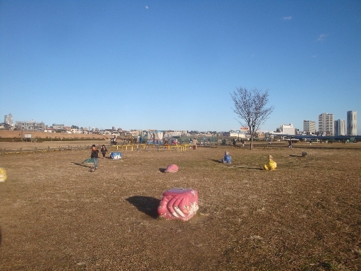 ライオンズマンション二子玉川 公園