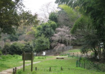 川崎市宮前区野川本町１丁目　新築戸建　1号棟 公園