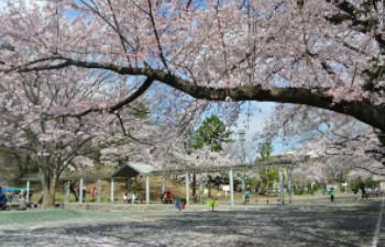 川崎市高津区梶ケ谷３丁目　新築戸建　1号棟 公園