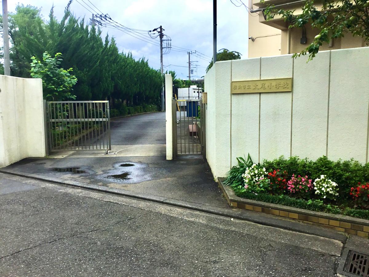 横浜市港北区大倉山７丁目　新築戸建　A号棟 小学校
