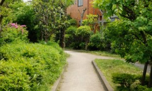パークシティ成城　Ｅ棟 公園