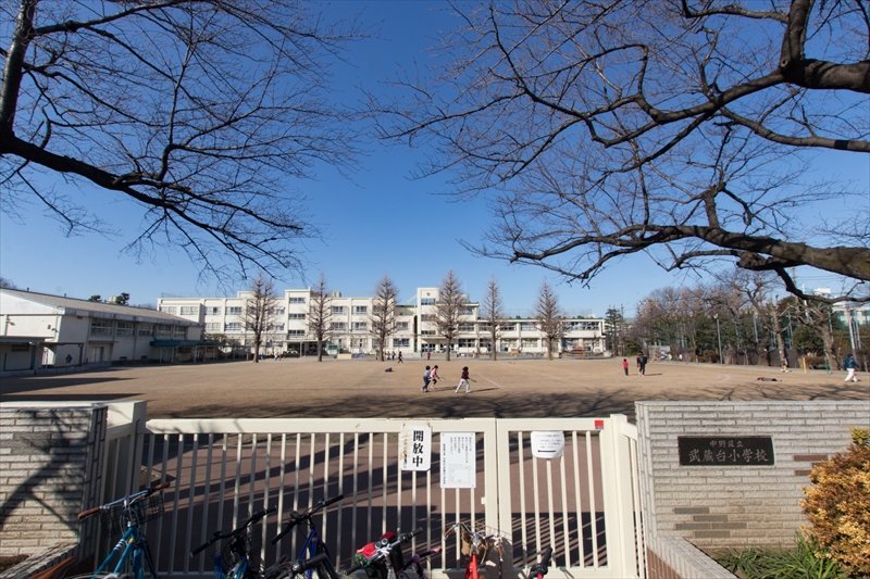 中野区上鷺宮２丁目　売地　3区画  小学校