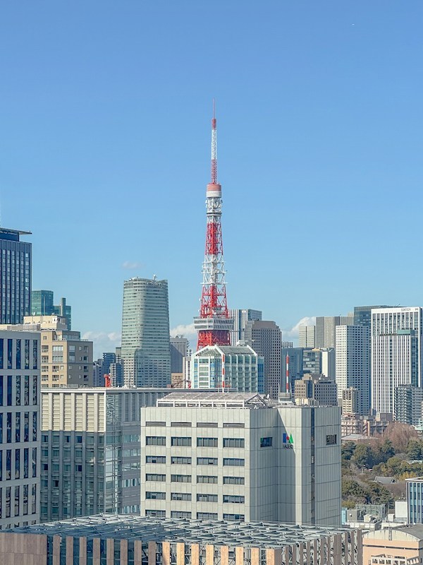カテリーナ三田タワースイート 眺望写真