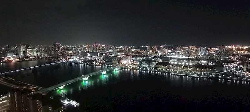 ＨＡＲＵＭＩ　ＦＬＡＧ　ＰＡＲＫ　ＶＩＬＬＡＧＥ　Ｔ棟 眺望写真